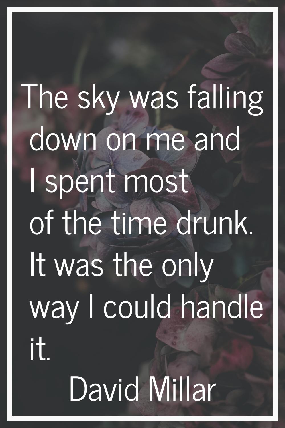 The sky was falling down on me and I spent most of the time drunk. It was the only way I could hand