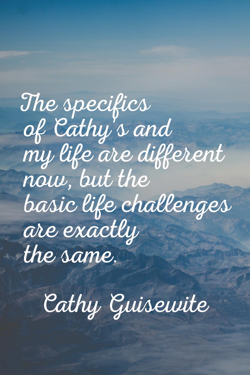 The specifics of Cathy's and my life are different now, but the basic life challenges are exactly t