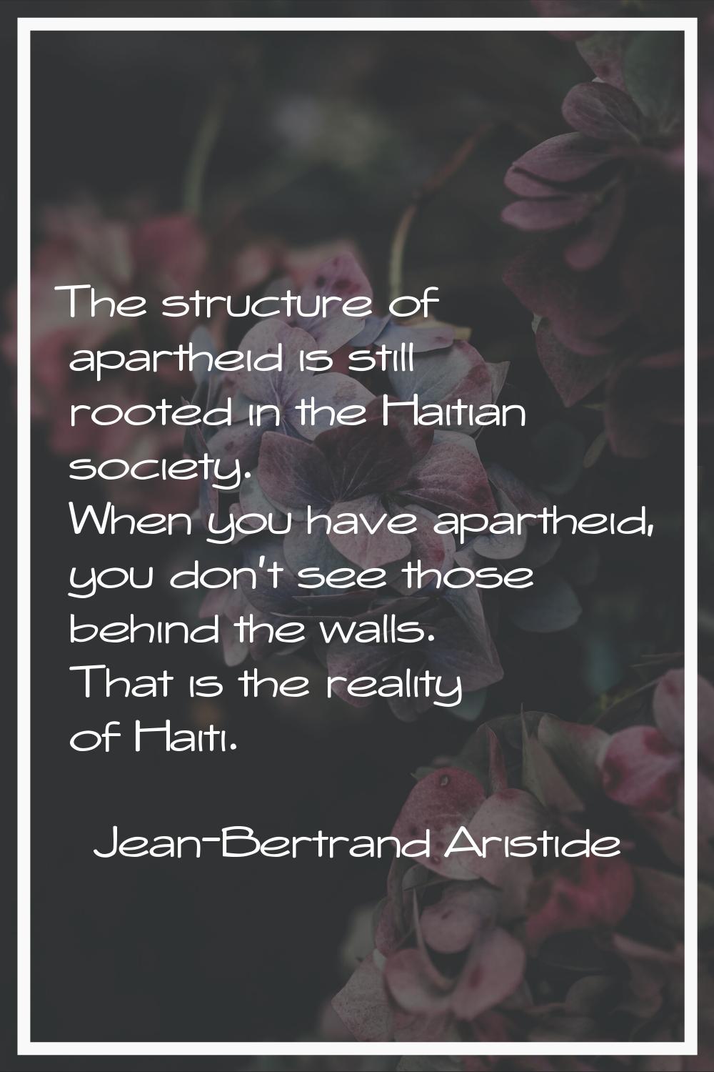 The structure of apartheid is still rooted in the Haitian society. When you have apartheid, you don
