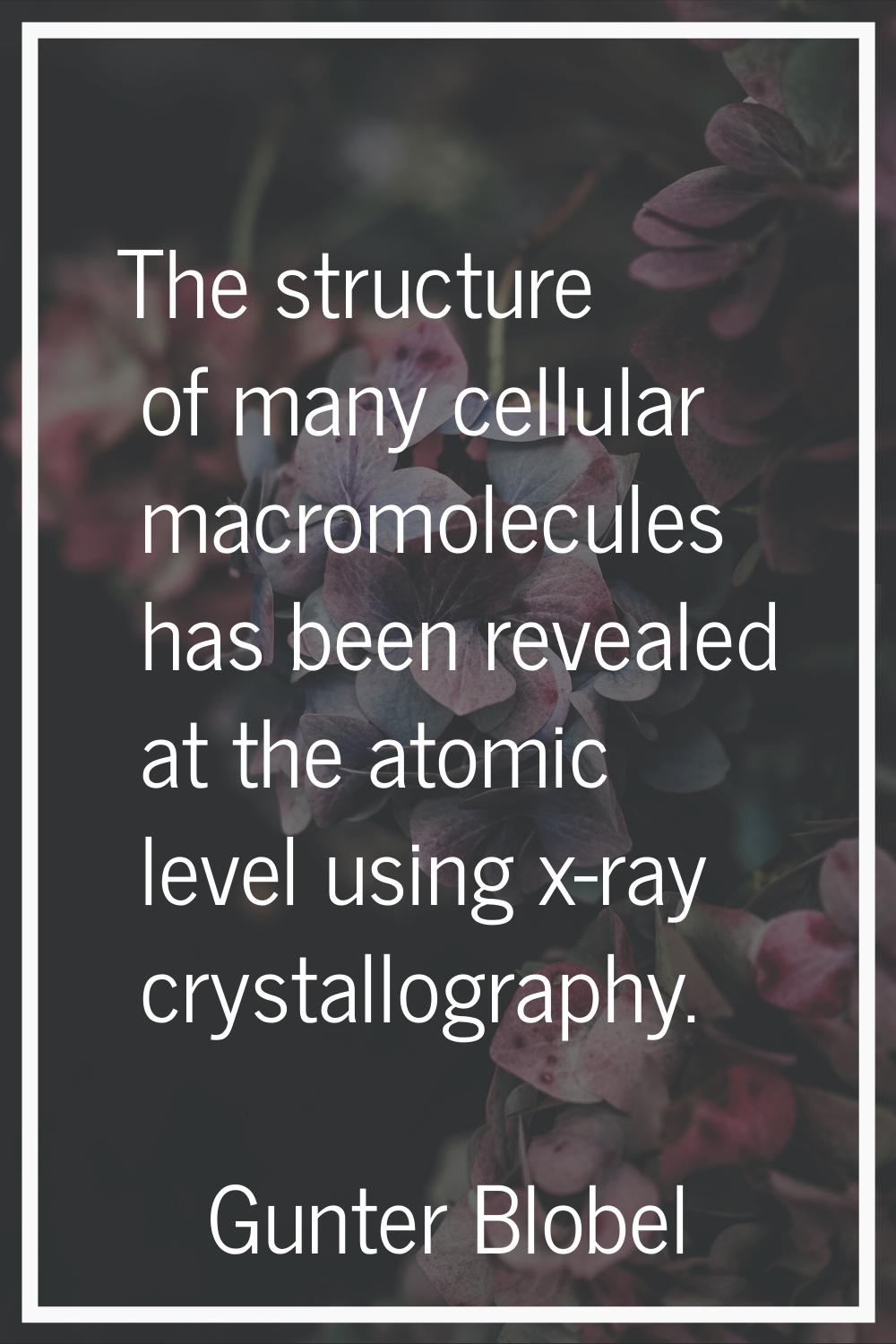The structure of many cellular macromolecules has been revealed at the atomic level using x-ray cry