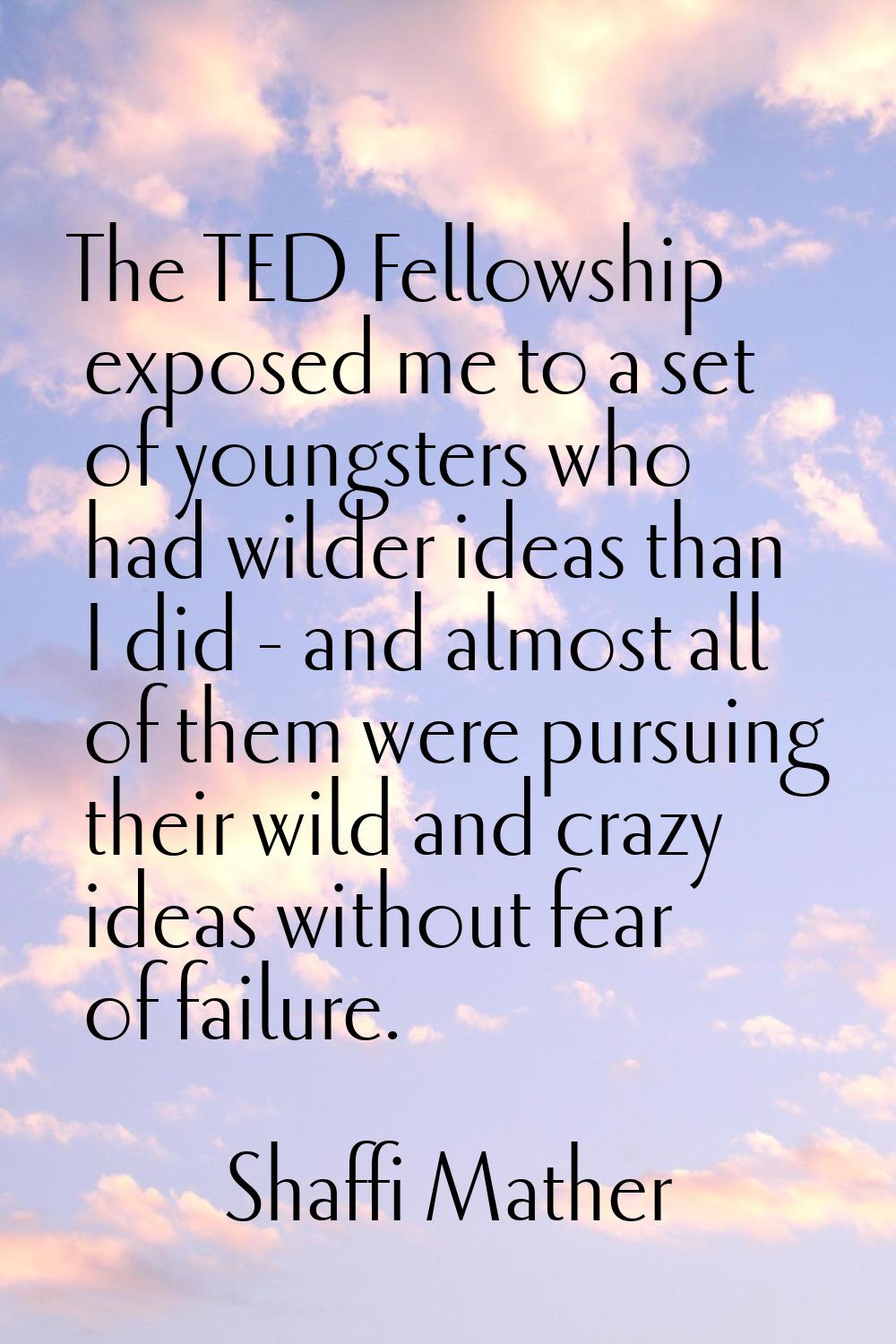 The TED Fellowship exposed me to a set of youngsters who had wilder ideas than I did - and almost a