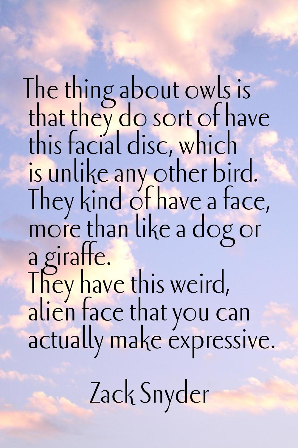 The thing about owls is that they do sort of have this facial disc, which is unlike any other bird.