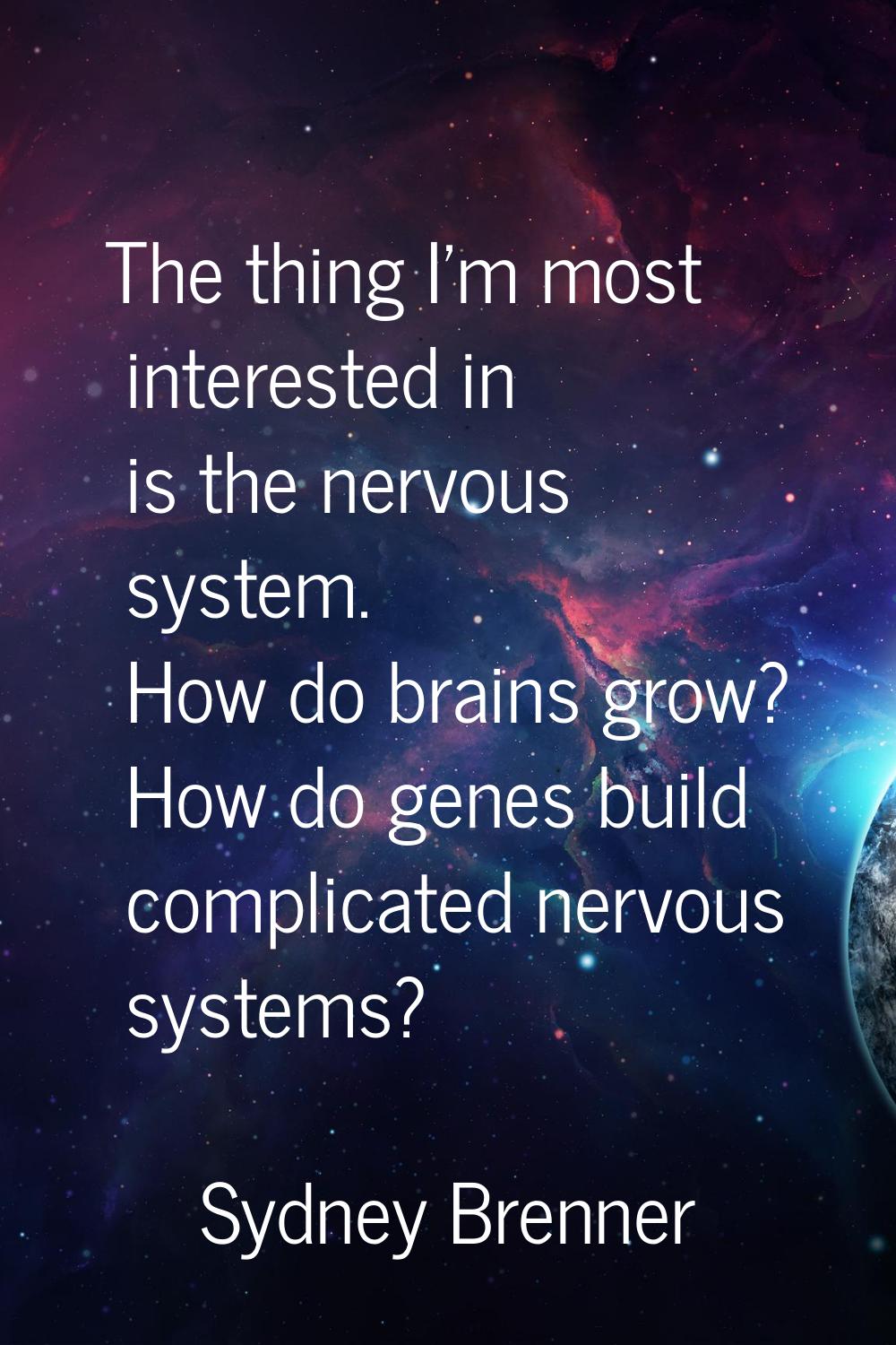 The thing I'm most interested in is the nervous system. How do brains grow? How do genes build comp