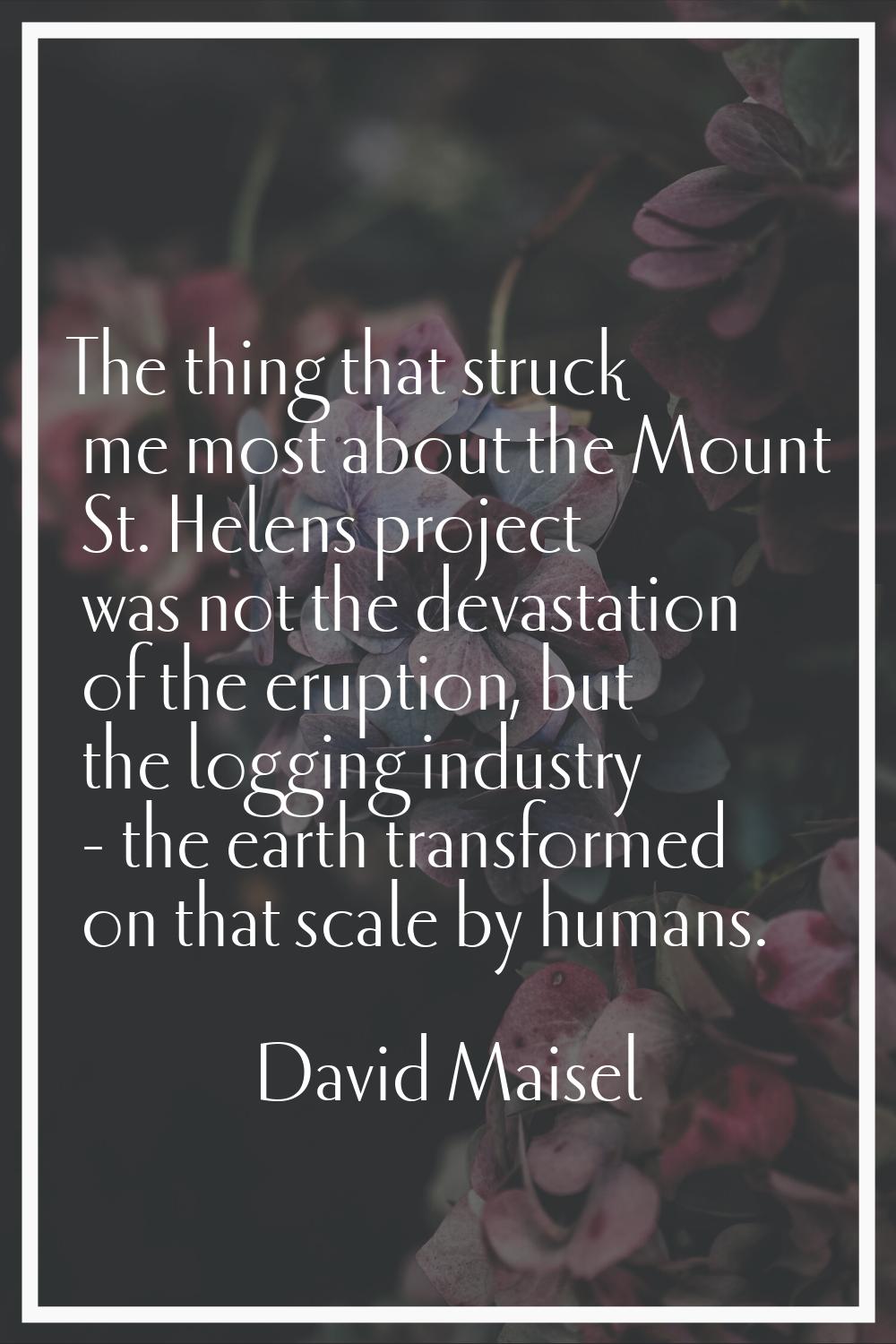 The thing that struck me most about the Mount St. Helens project was not the devastation of the eru