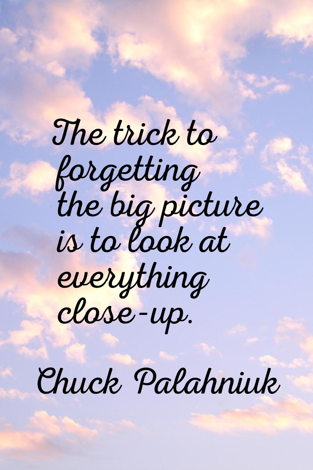 The trick to forgetting the big picture is to look at everything close-up.