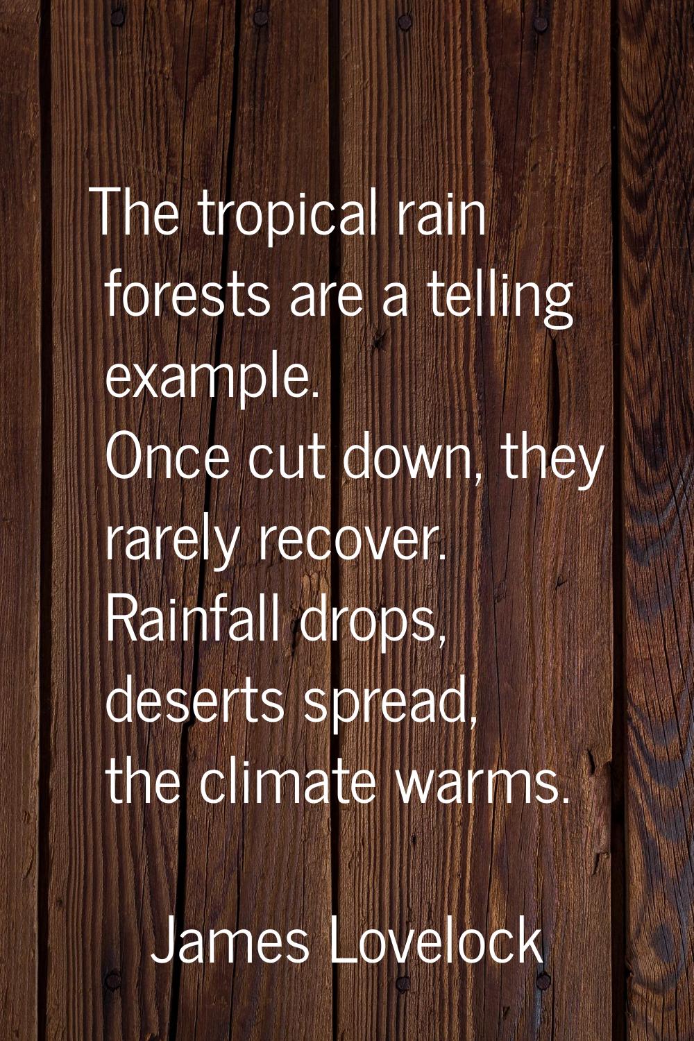 The tropical rain forests are a telling example. Once cut down, they rarely recover. Rainfall drops