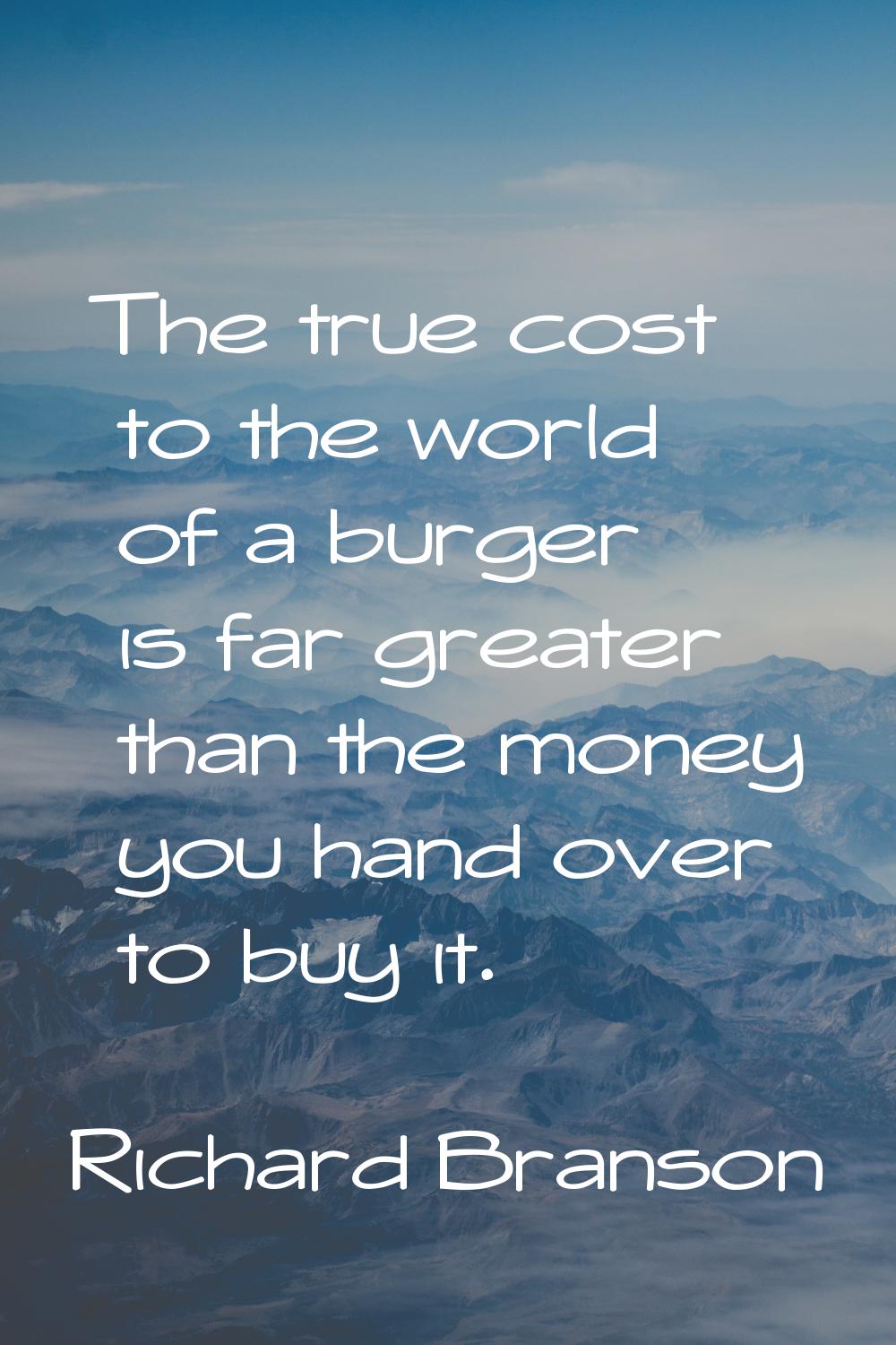 The true cost to the world of a burger is far greater than the money you hand over to buy it.
