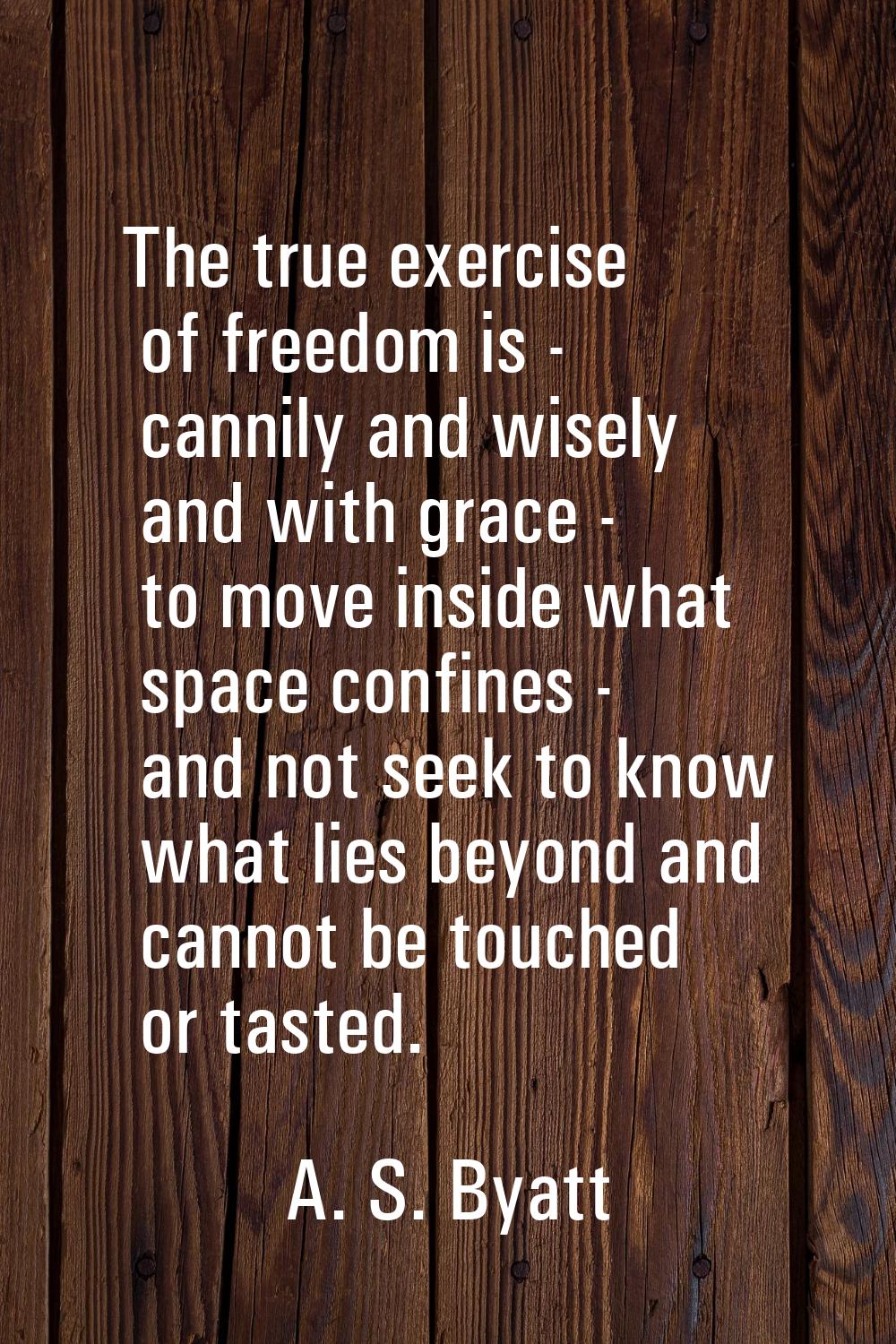 The true exercise of freedom is - cannily and wisely and with grace - to move inside what space con