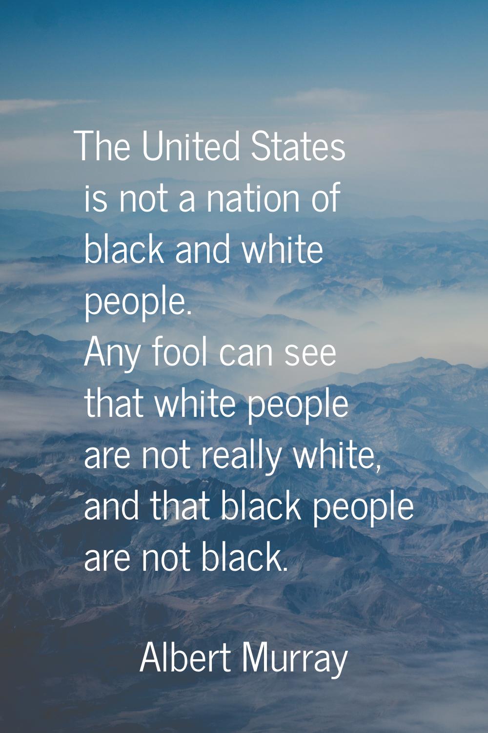 The United States is not a nation of black and white people. Any fool can see that white people are