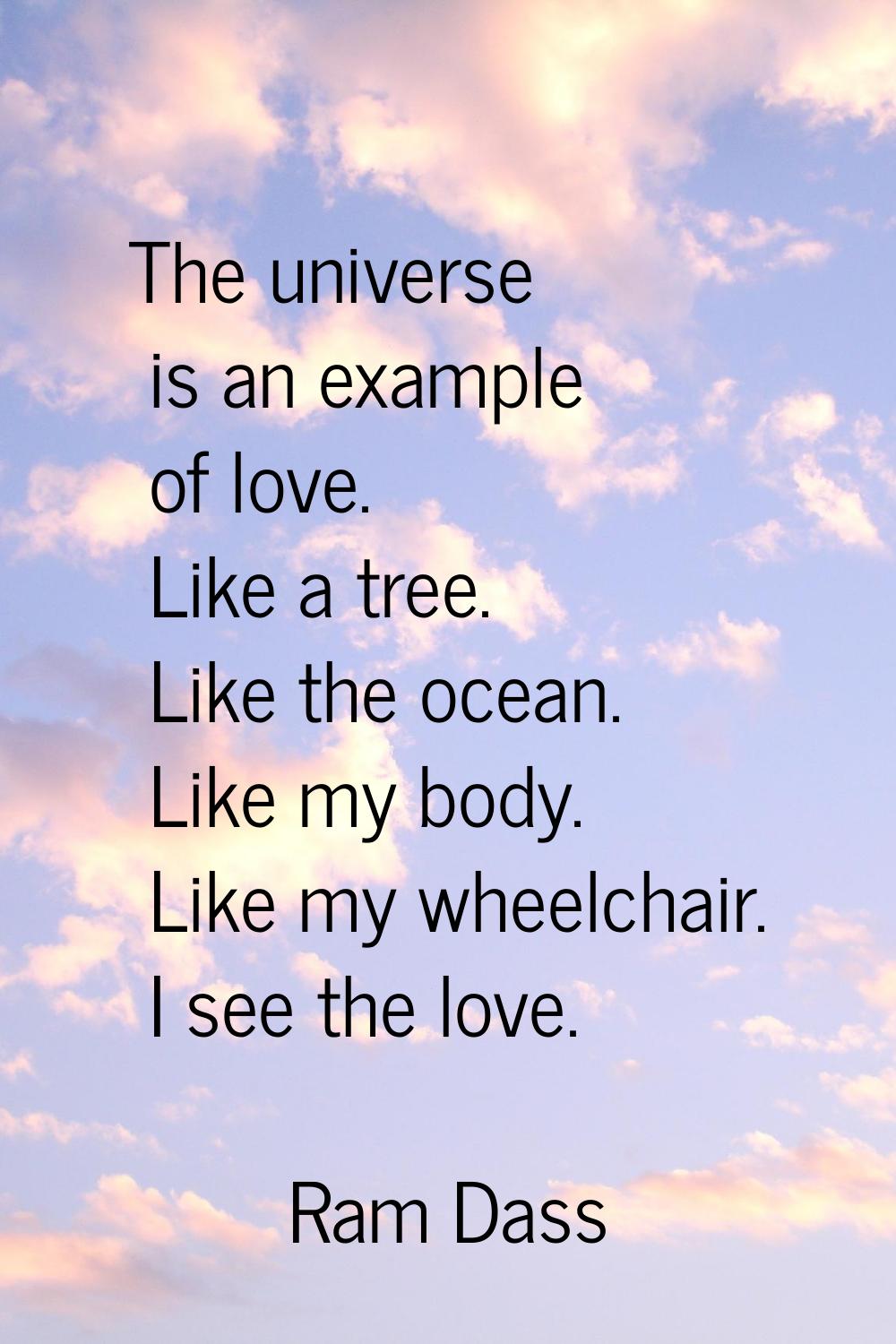 The universe is an example of love. Like a tree. Like the ocean. Like my body. Like my wheelchair. 