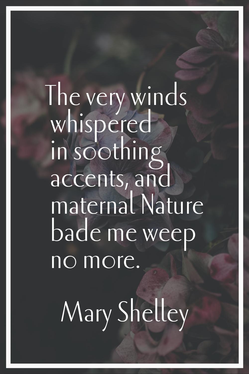 The very winds whispered in soothing accents, and maternal Nature bade me weep no more.