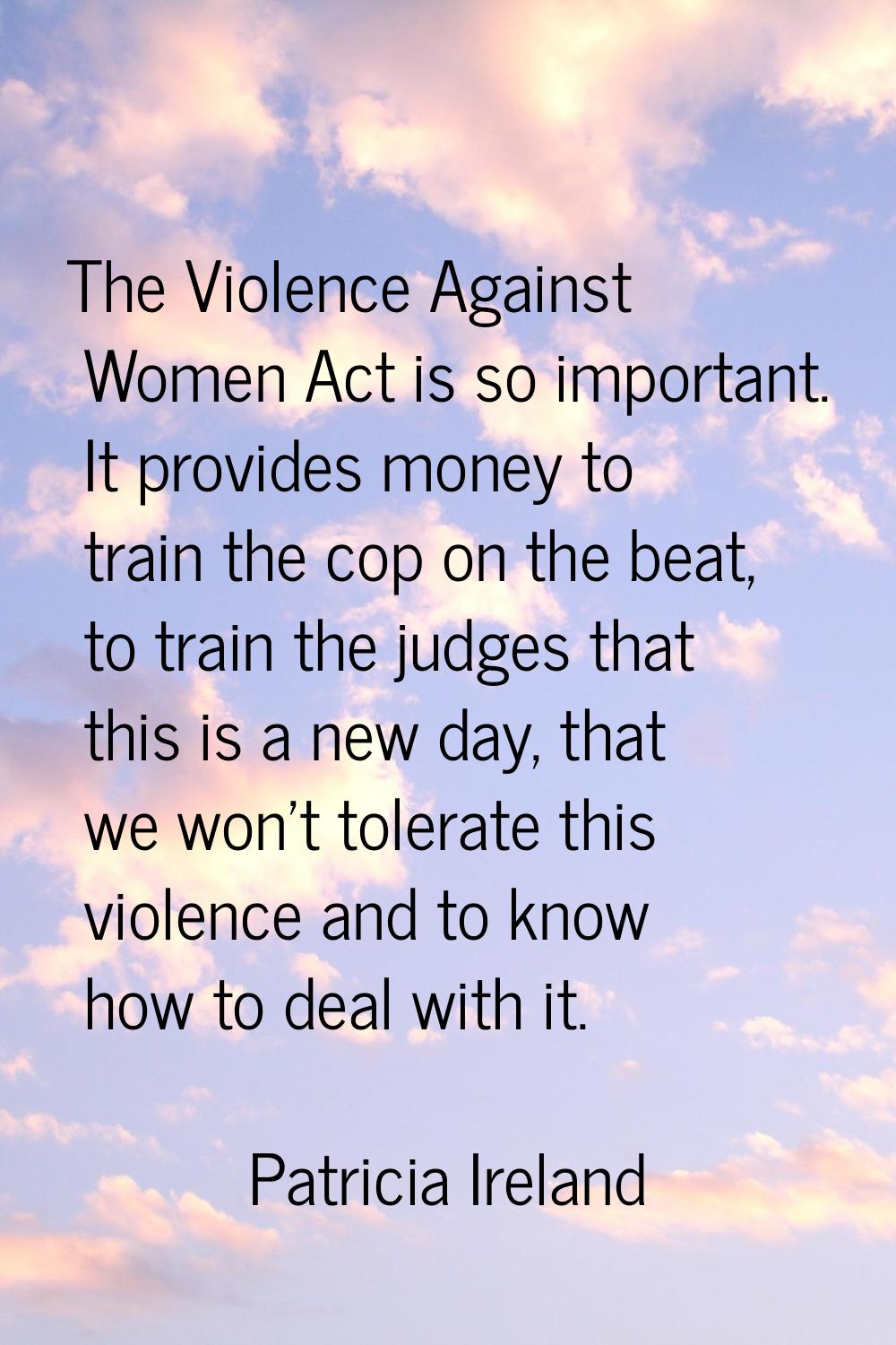 The Violence Against Women Act is so important. It provides money to train the cop on the beat, to 