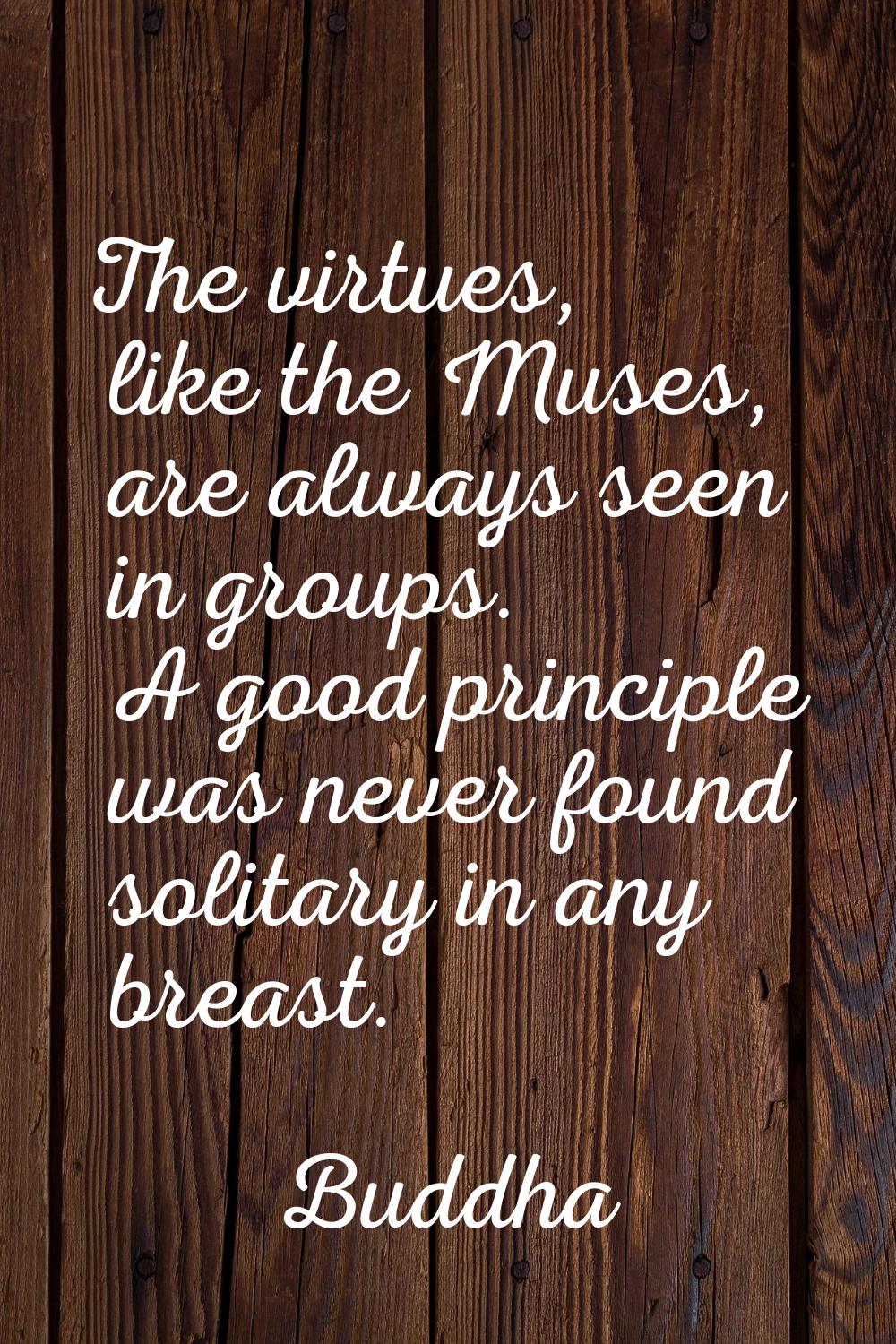 The virtues, like the Muses, are always seen in groups. A good principle was never found solitary i