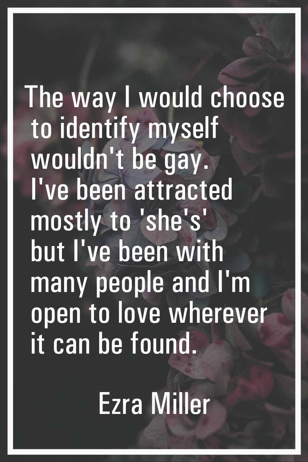 The way I would choose to identify myself wouldn't be gay. I've been attracted mostly to 'she's' bu