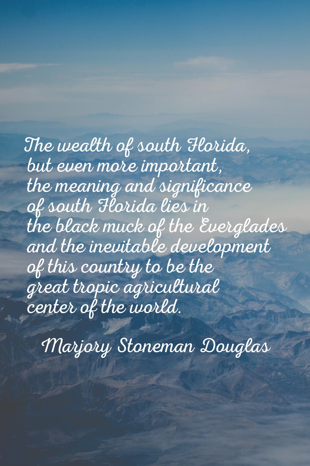 The wealth of south Florida, but even more important, the meaning and significance of south Florida