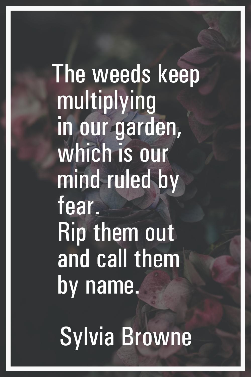 The weeds keep multiplying in our garden, which is our mind ruled by fear. Rip them out and call th