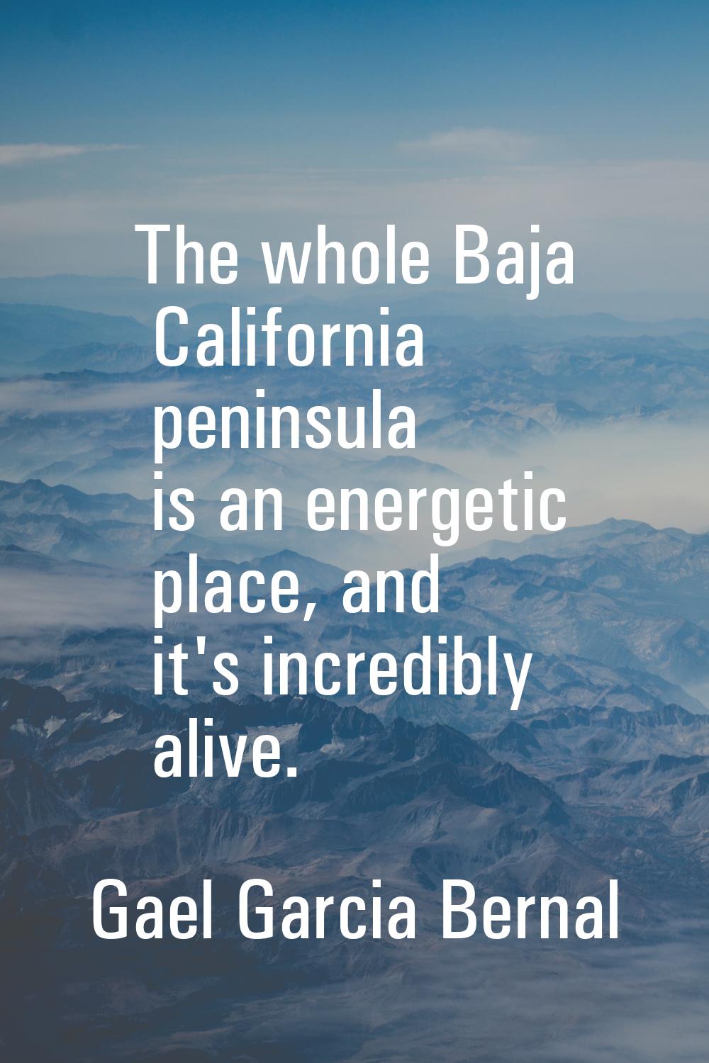 The whole Baja California peninsula is an energetic place, and it's incredibly alive.