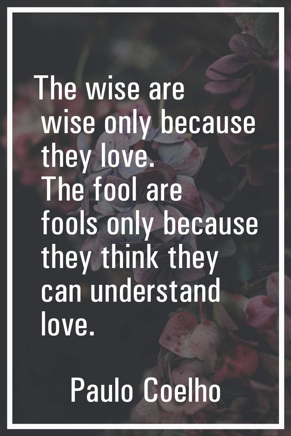The wise are wise only because they love. The fool are fools only because they think they can under