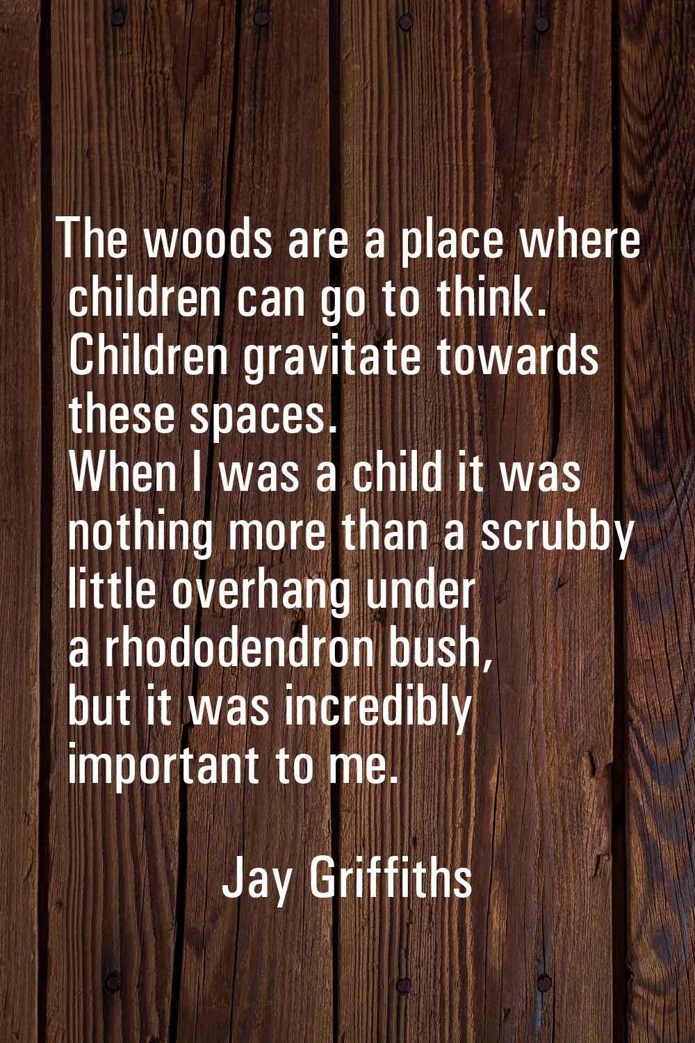 The woods are a place where children can go to think. Children gravitate towards these spaces. When