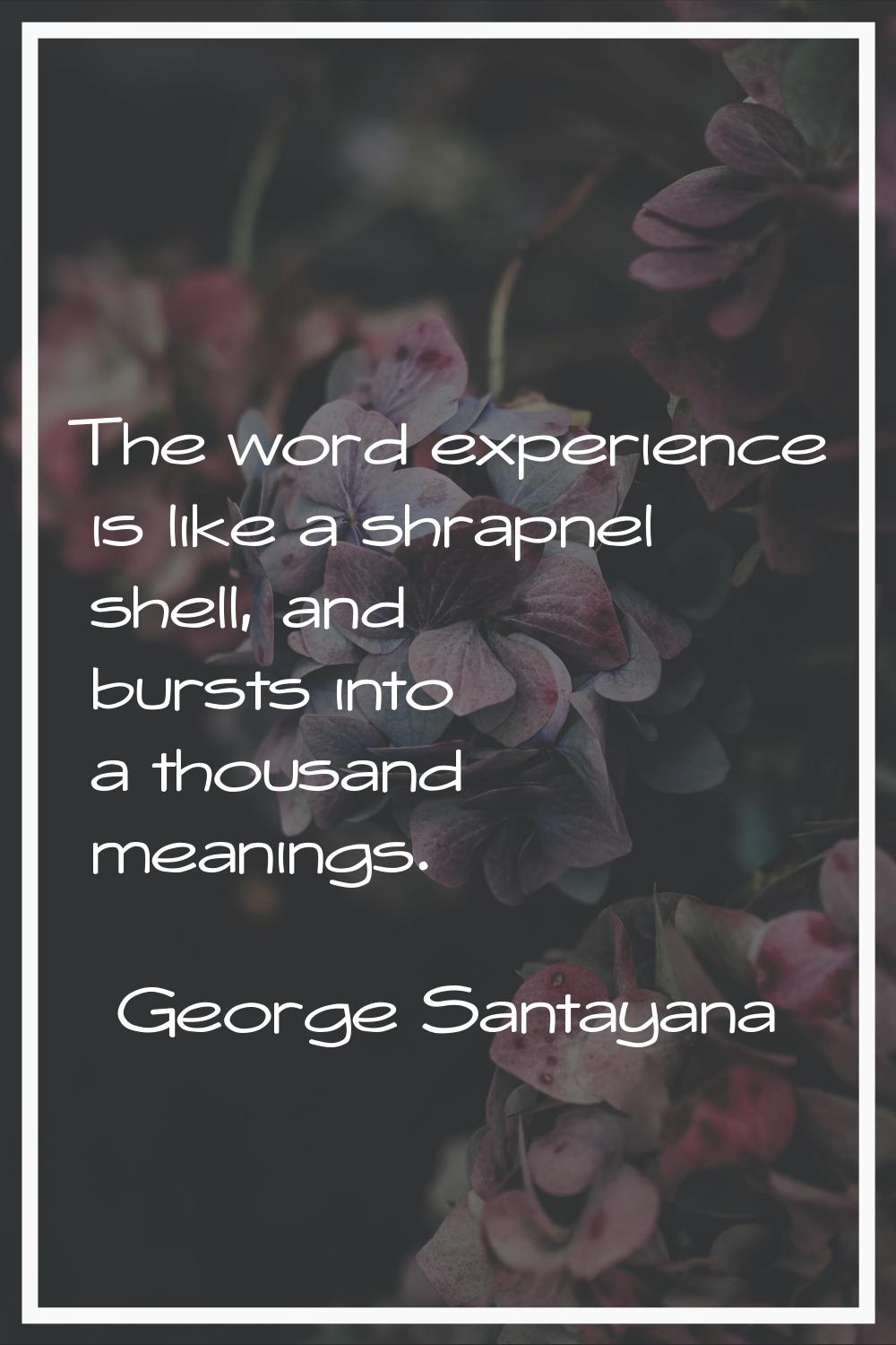 The word experience is like a shrapnel shell, and bursts into a thousand meanings.