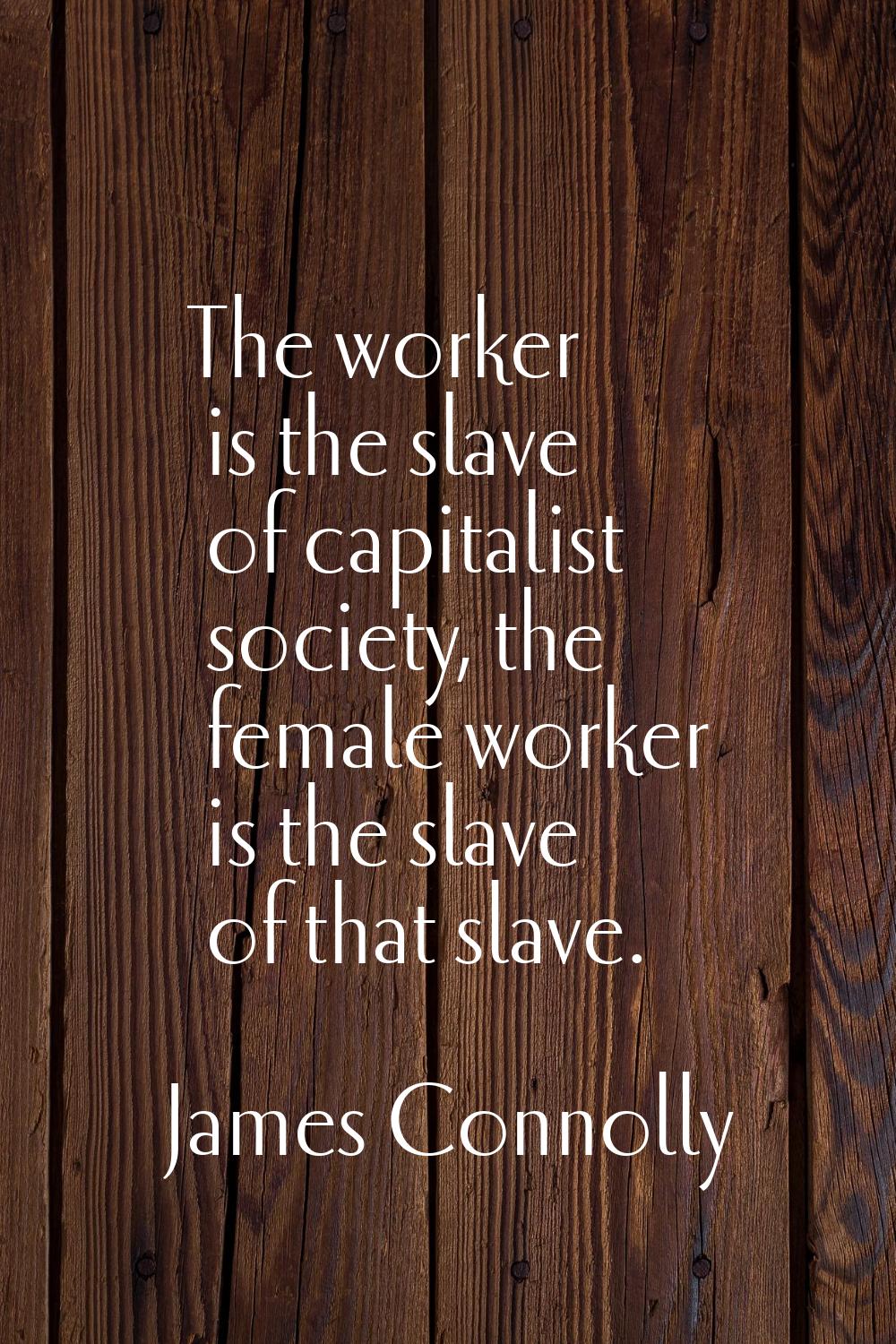 The worker is the slave of capitalist society, the female worker is the slave of that slave.