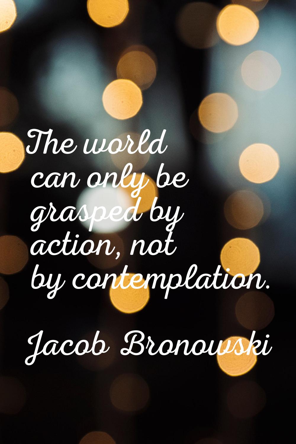 The world can only be grasped by action, not by contemplation.