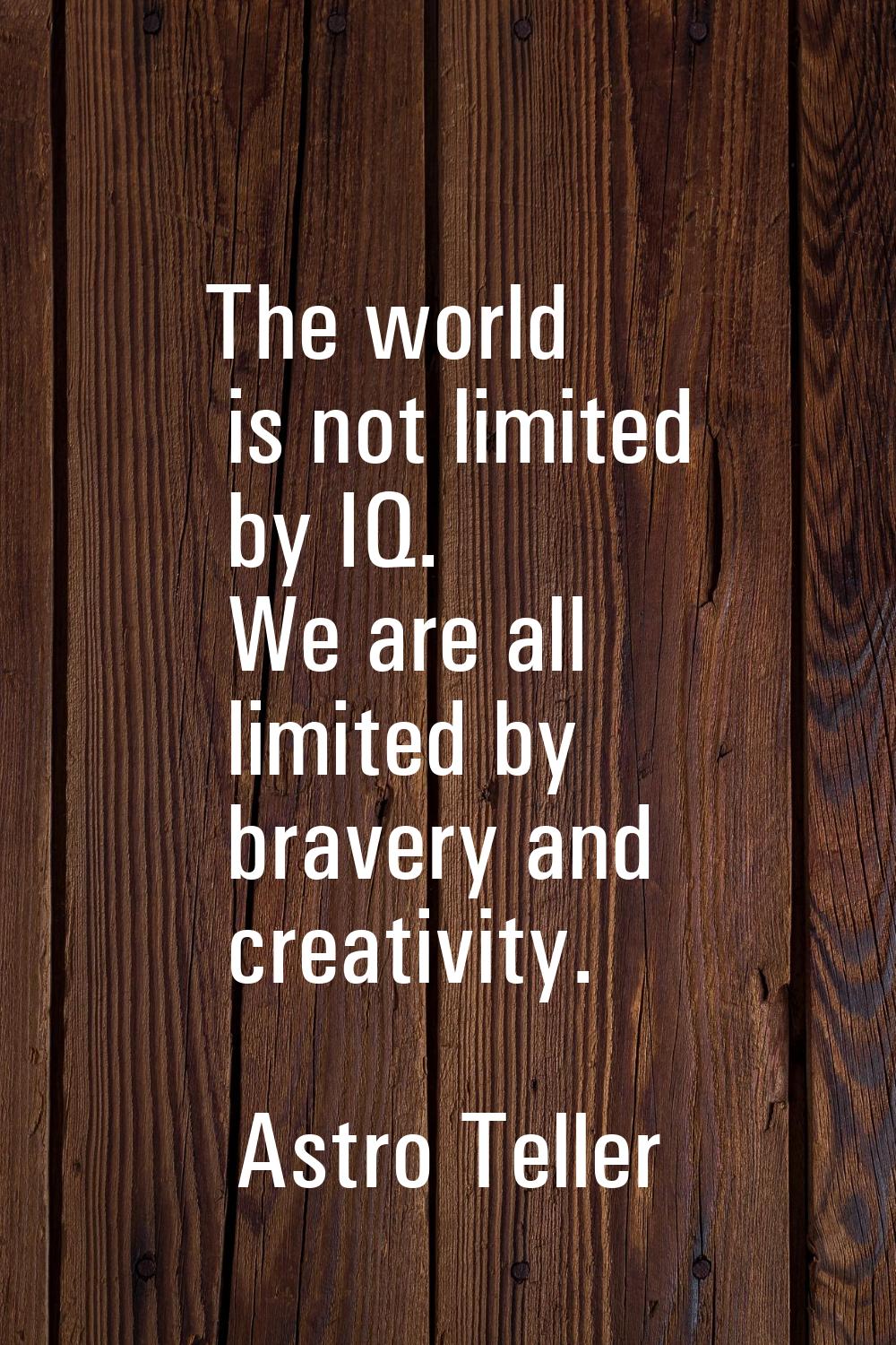 The world is not limited by IQ. We are all limited by bravery and creativity.