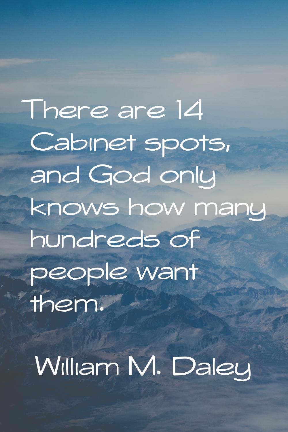 There are 14 Cabinet spots, and God only knows how many hundreds of people want them.