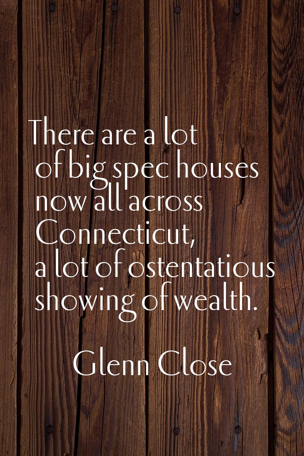 There are a lot of big spec houses now all across Connecticut, a lot of ostentatious showing of wea