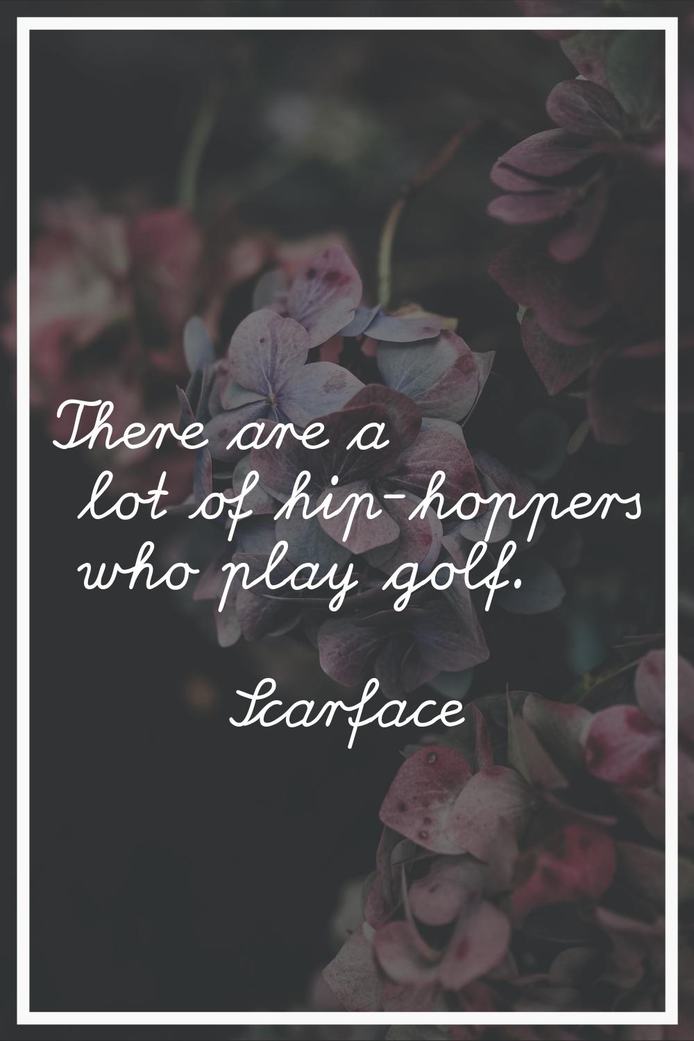 There are a lot of hip-hoppers who play golf.
