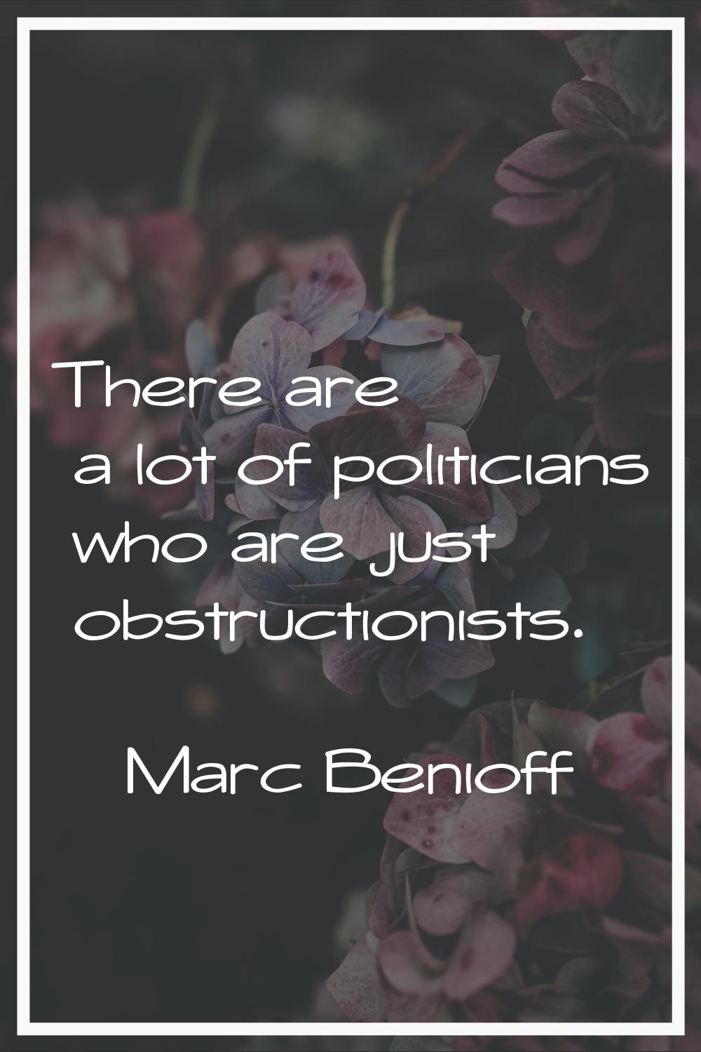 There are a lot of politicians who are just obstructionists.
