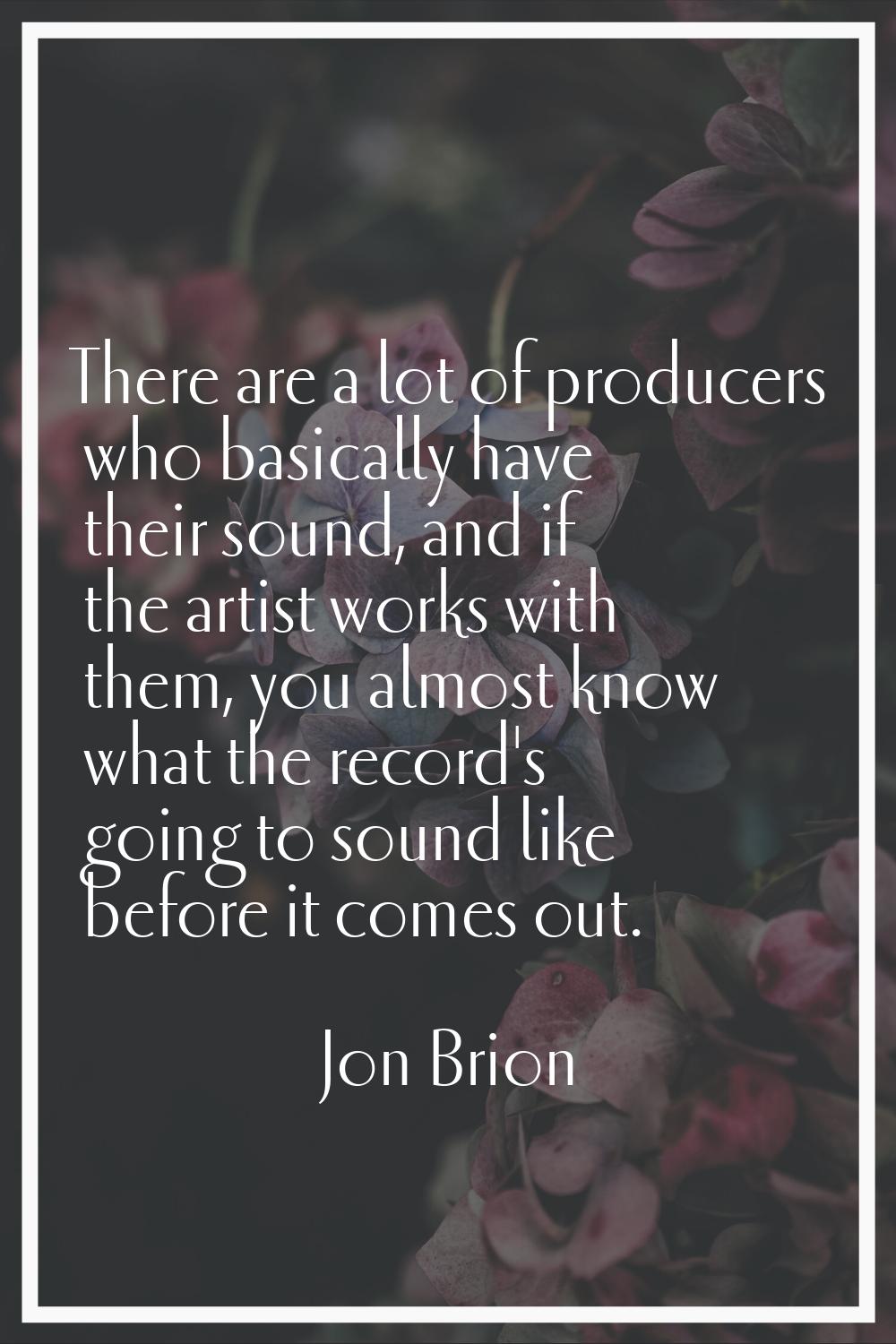 There are a lot of producers who basically have their sound, and if the artist works with them, you