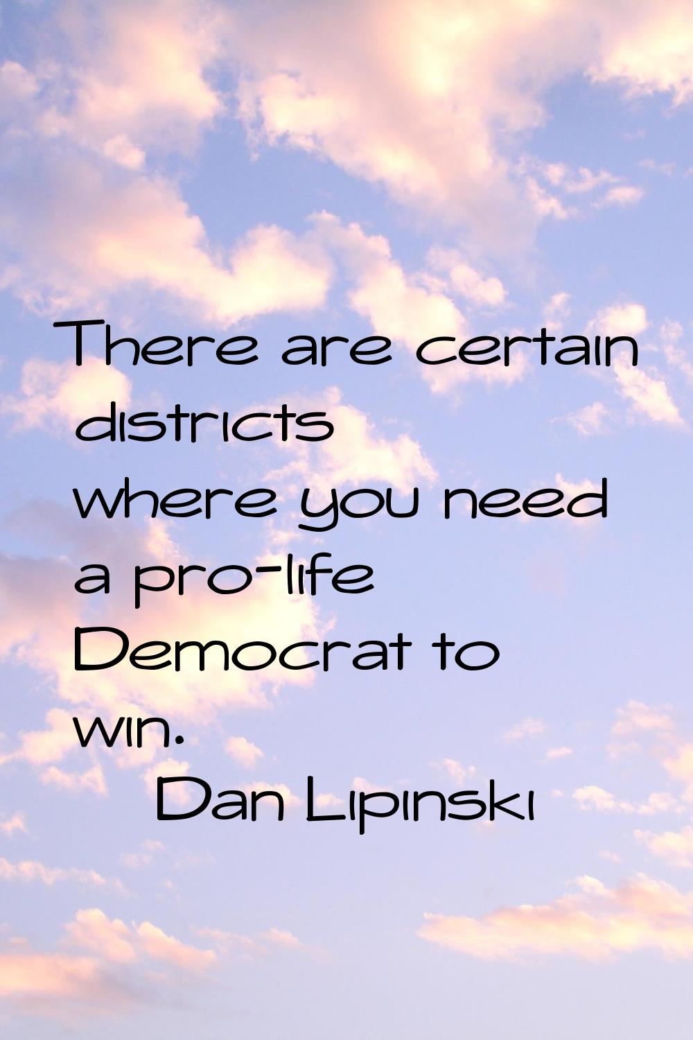 There are certain districts where you need a pro-life Democrat to win.