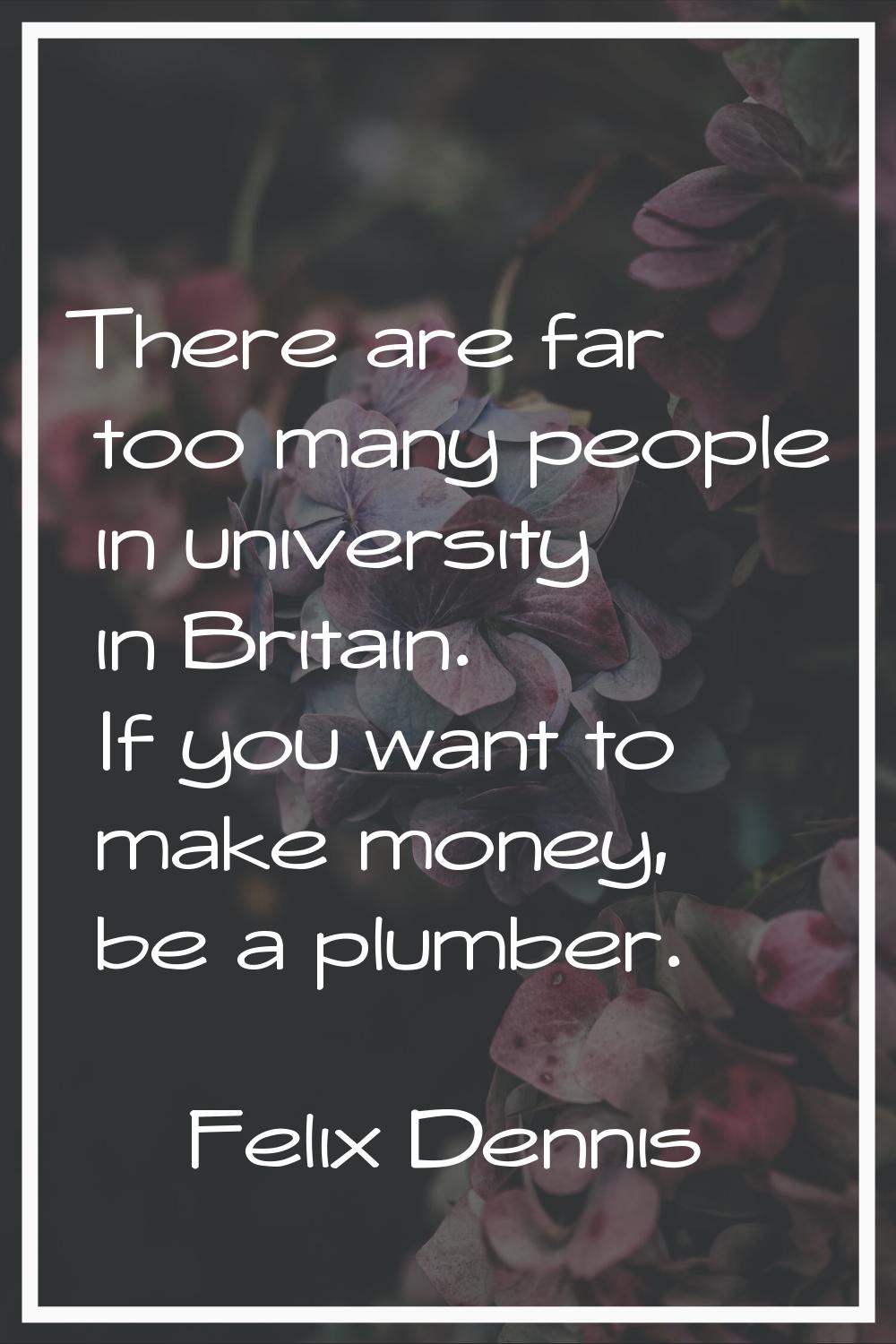 There are far too many people in university in Britain. If you want to make money, be a plumber.
