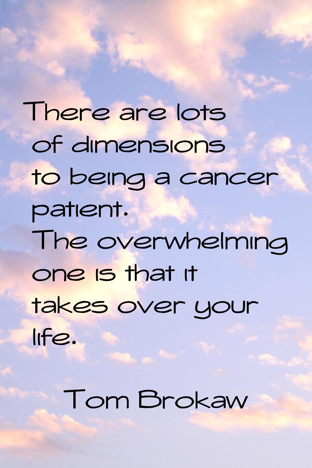 There are lots of dimensions to being a cancer patient. The overwhelming one is that it takes over 