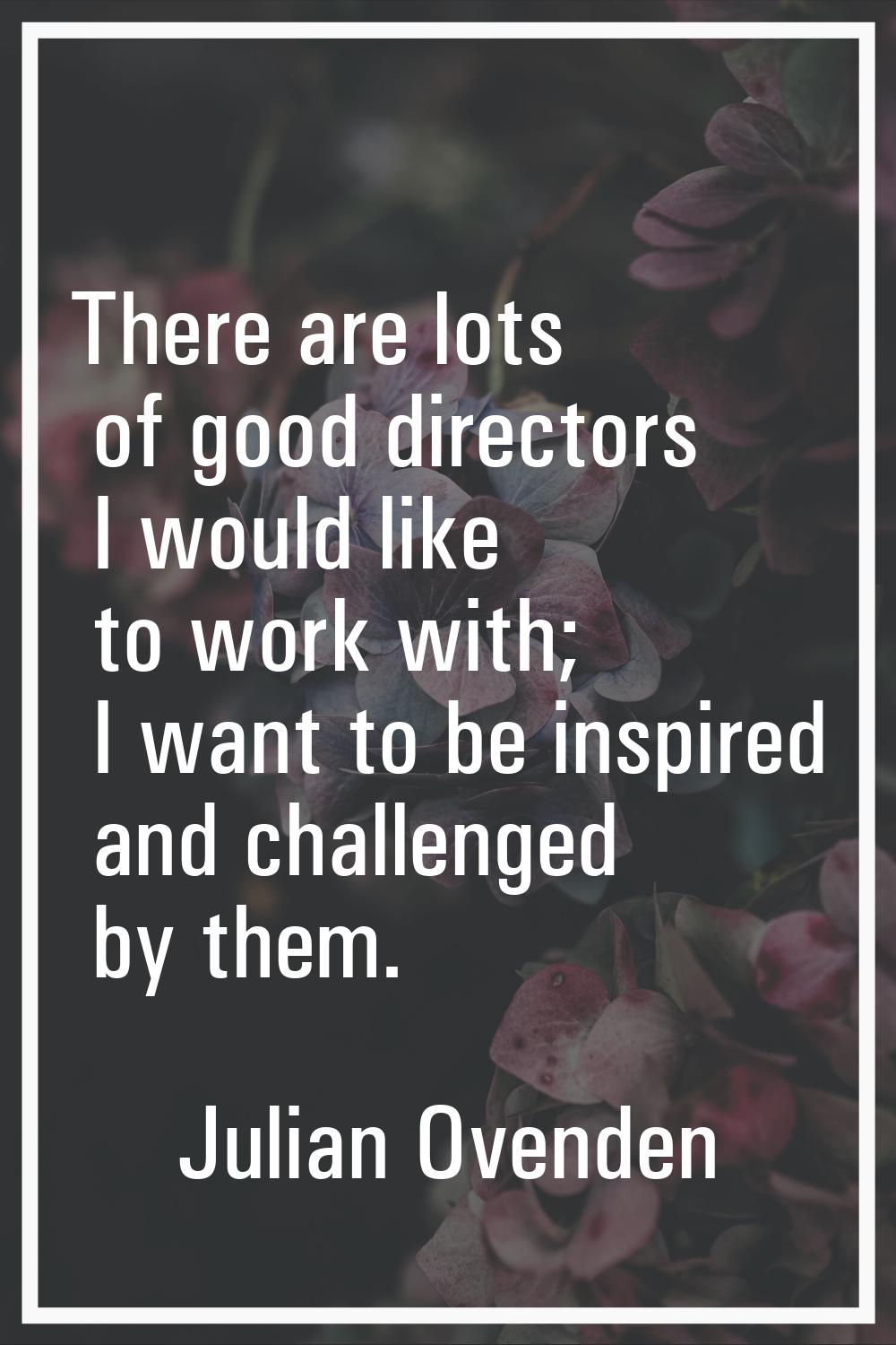 There are lots of good directors I would like to work with; I want to be inspired and challenged by