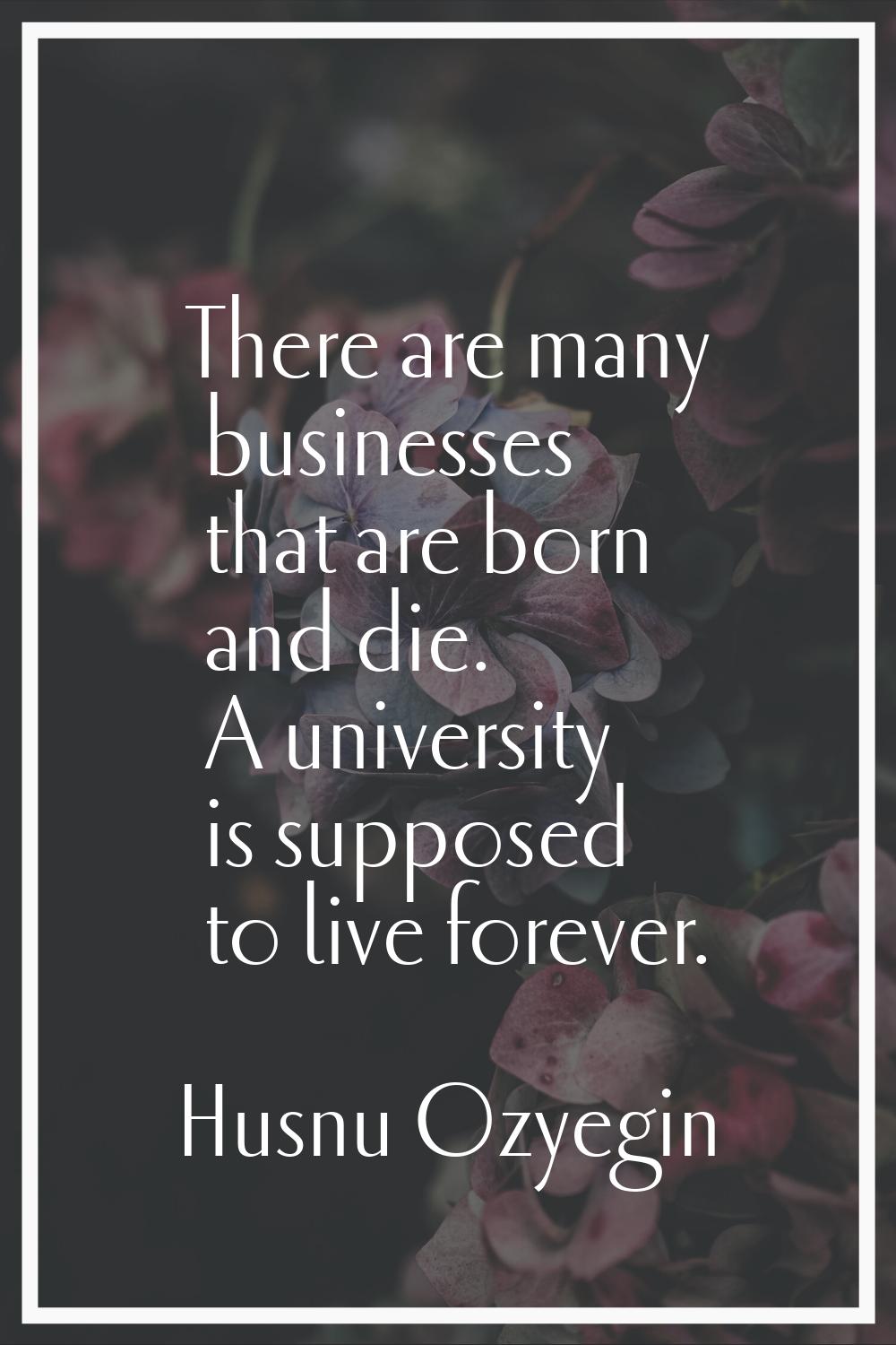 There are many businesses that are born and die. A university is supposed to live forever.