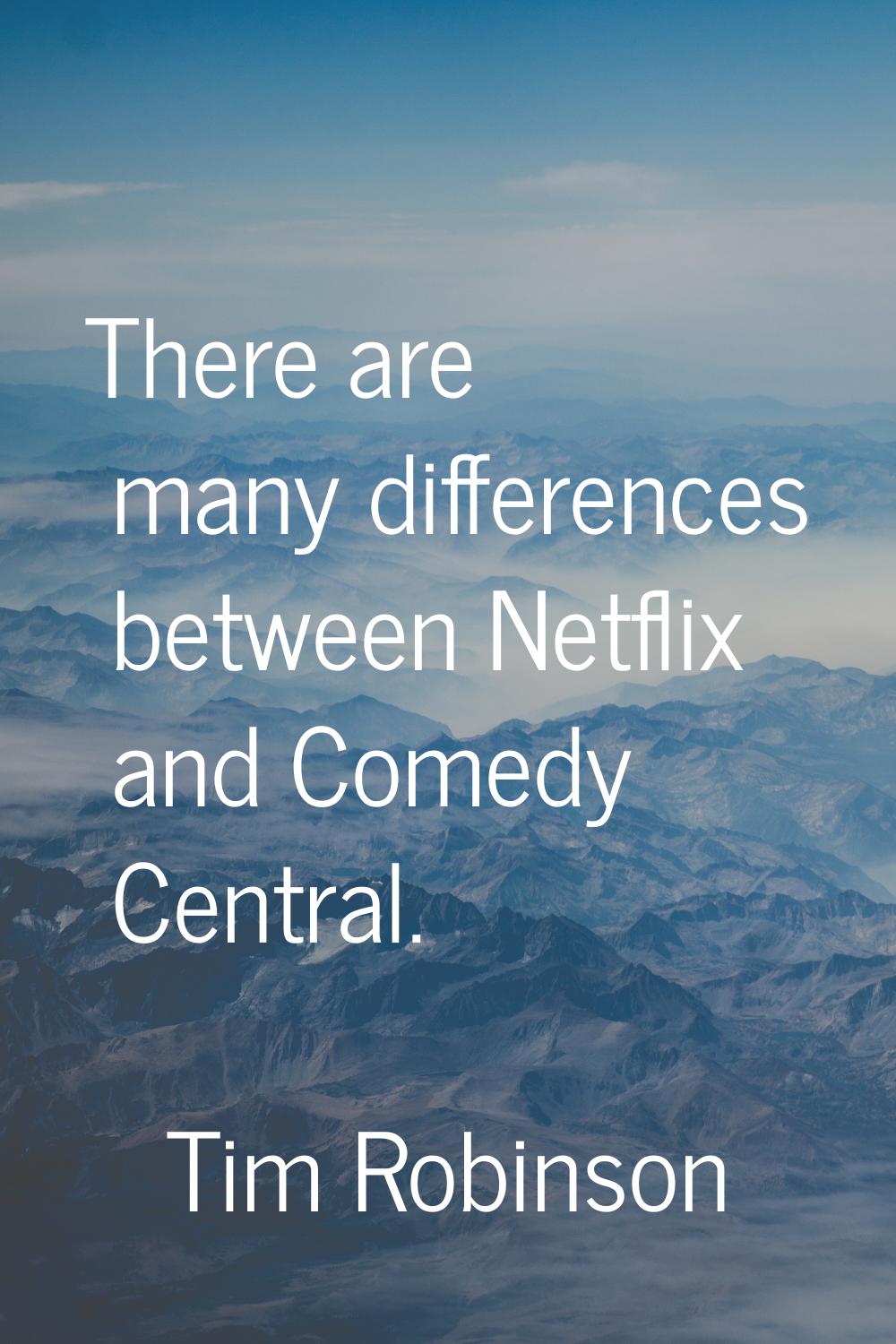 There are many differences between Netflix and Comedy Central.