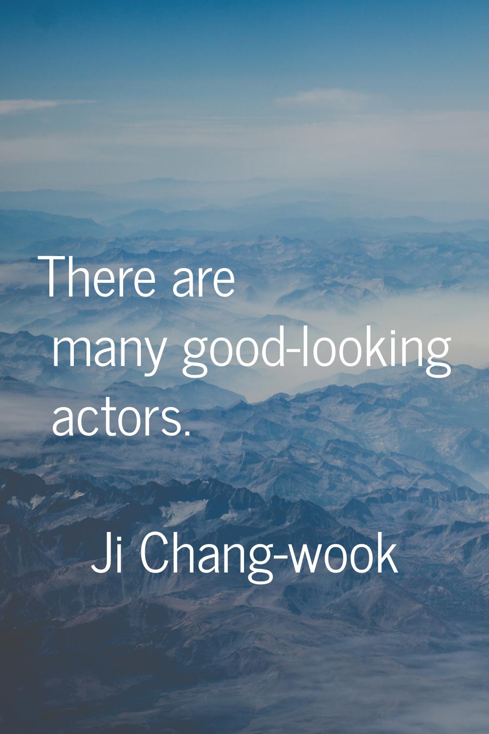 There are many good-looking actors.