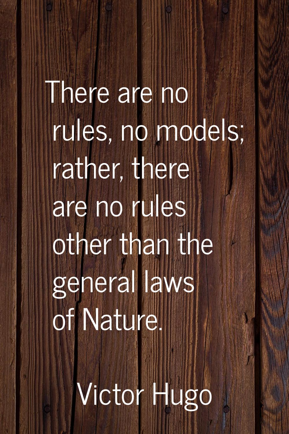 There are no rules, no models; rather, there are no rules other than the general laws of Nature.