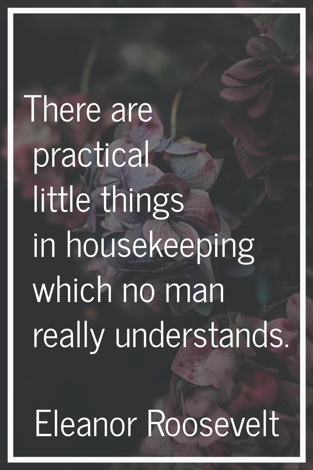 There are practical little things in housekeeping which no man really understands.
