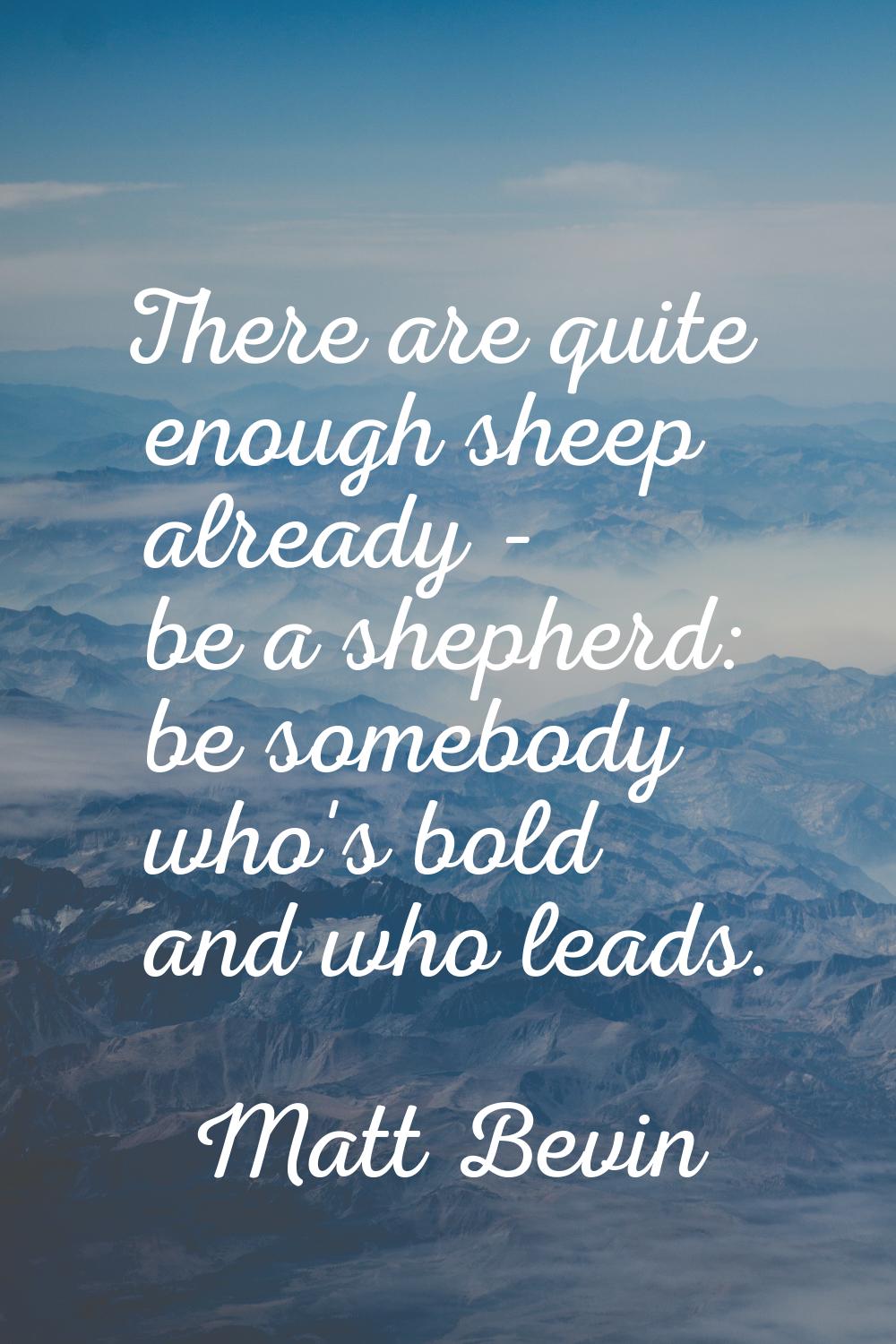 There are quite enough sheep already - be a shepherd: be somebody who's bold and who leads.