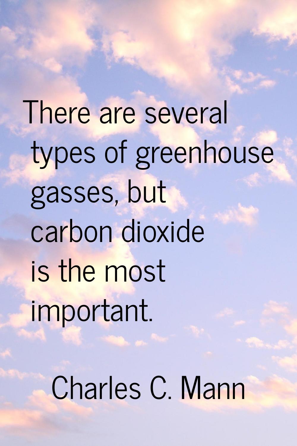 There are several types of greenhouse gasses, but carbon dioxide is the most important.
