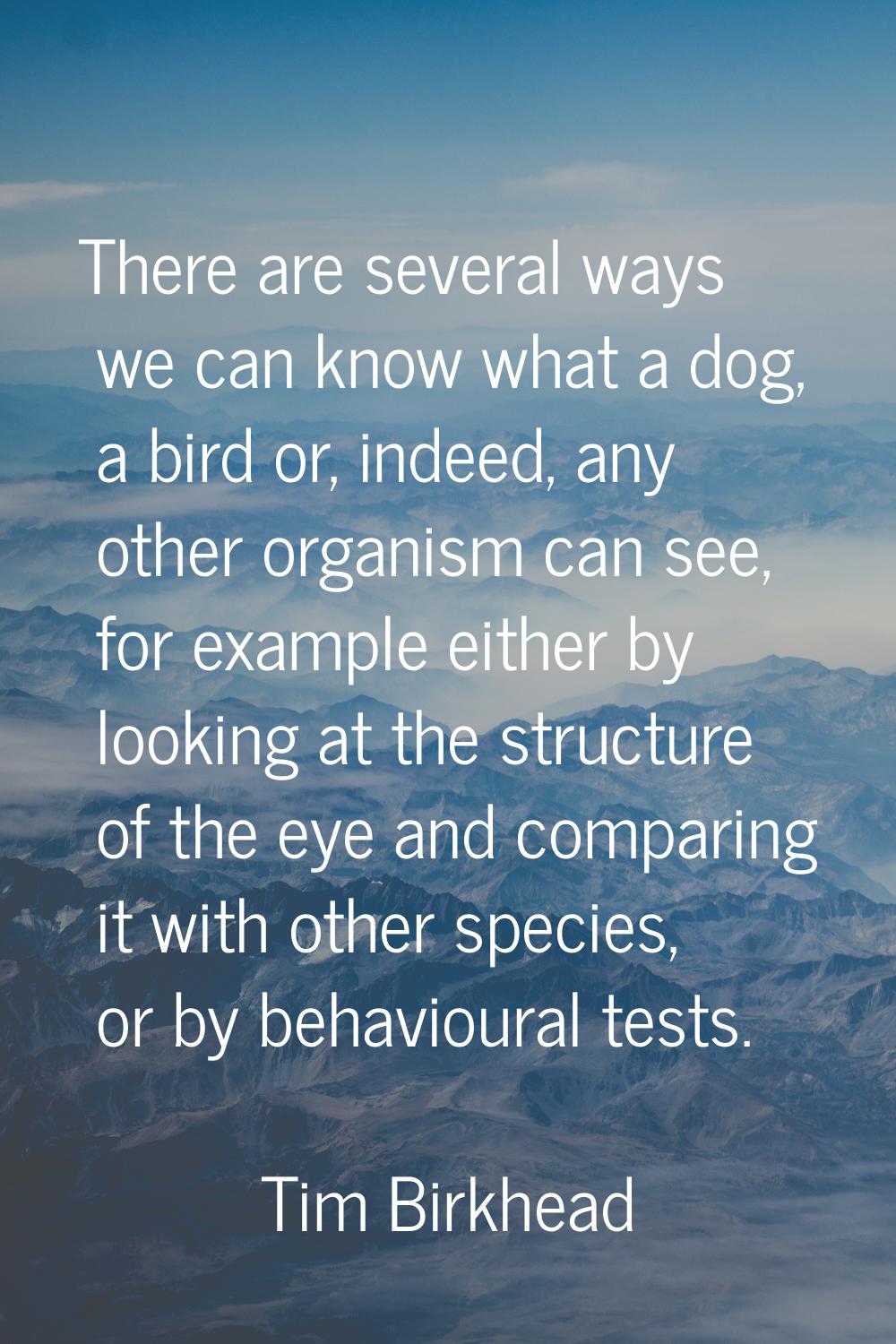 There are several ways we can know what a dog, a bird or, indeed, any other organism can see, for e