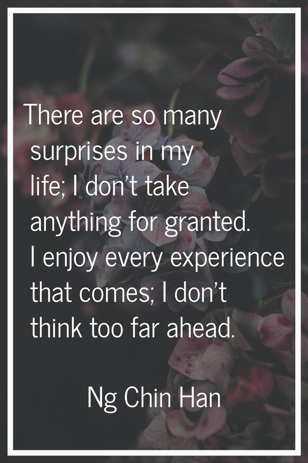 There are so many surprises in my life; I don't take anything for granted. I enjoy every experience