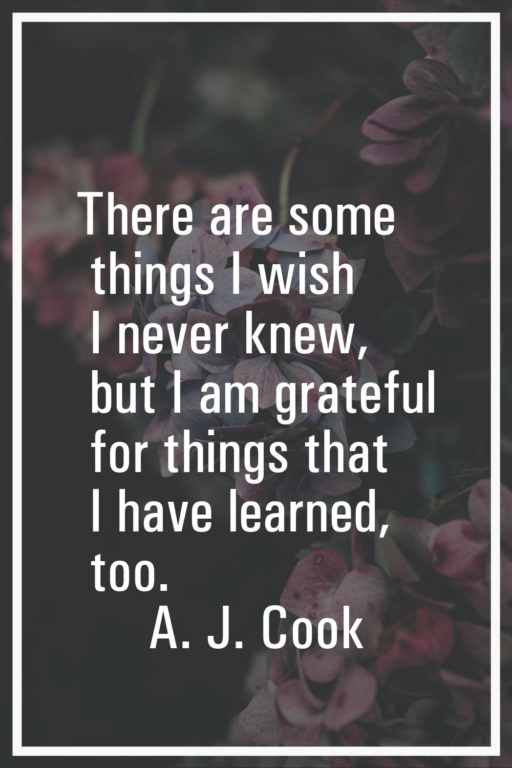There are some things I wish I never knew, but I am grateful for things that I have learned, too.