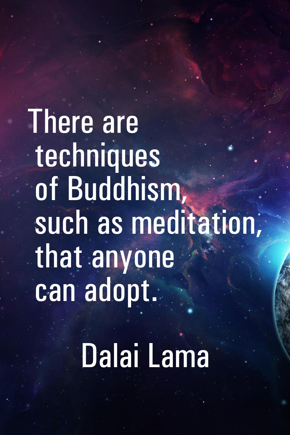 There are techniques of Buddhism, such as meditation, that anyone can adopt.