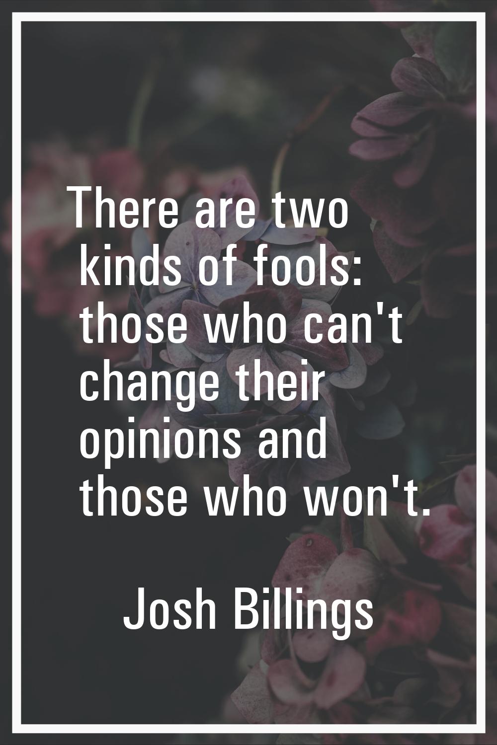 There are two kinds of fools: those who can't change their opinions and those who won't.