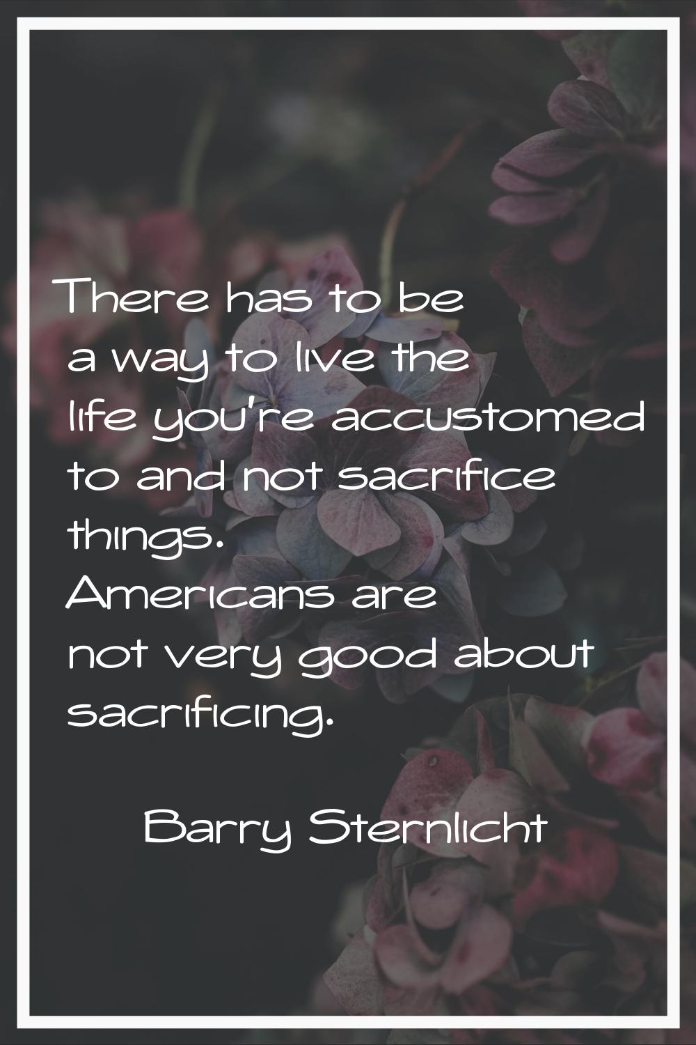There has to be a way to live the life you're accustomed to and not sacrifice things. Americans are