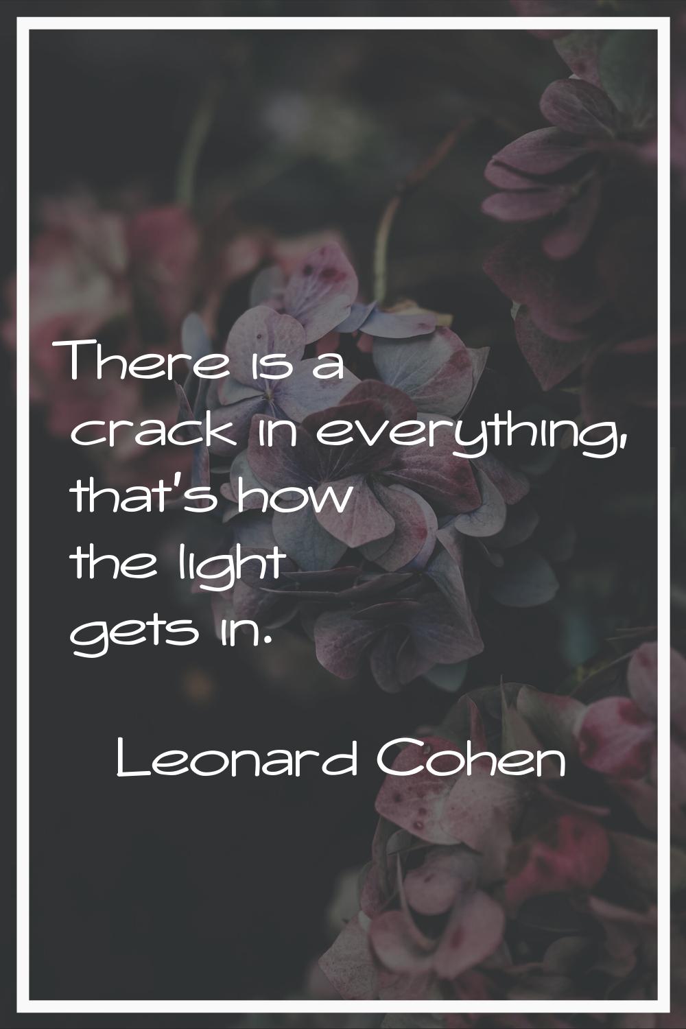 There is a crack in everything, that's how the light gets in.